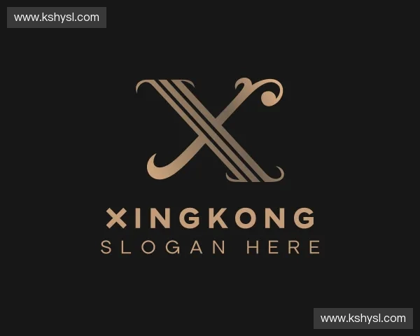 初识xingkong官网